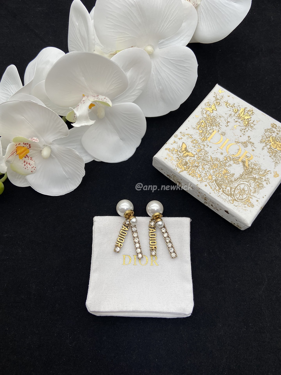 Dior Earrings (6) - www.newkick.org